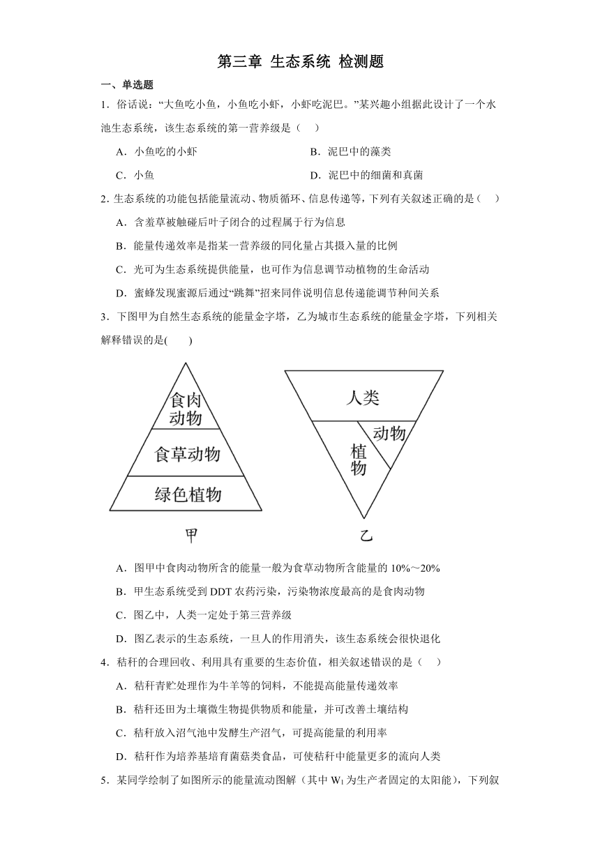 第三章 生态系统 检测题-2023-2024学年高中生物学浙科版（2019）选择性必修2（解析版）