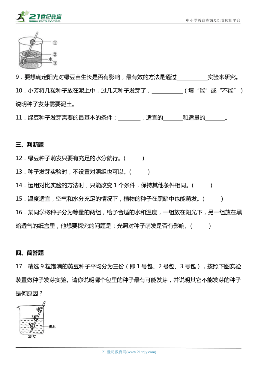 1.2《比较种子发芽实验》知识点+同步练习（含答案）