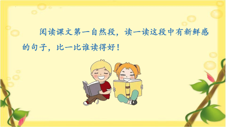 1《大青树下的小学》课件(共25张PPT)