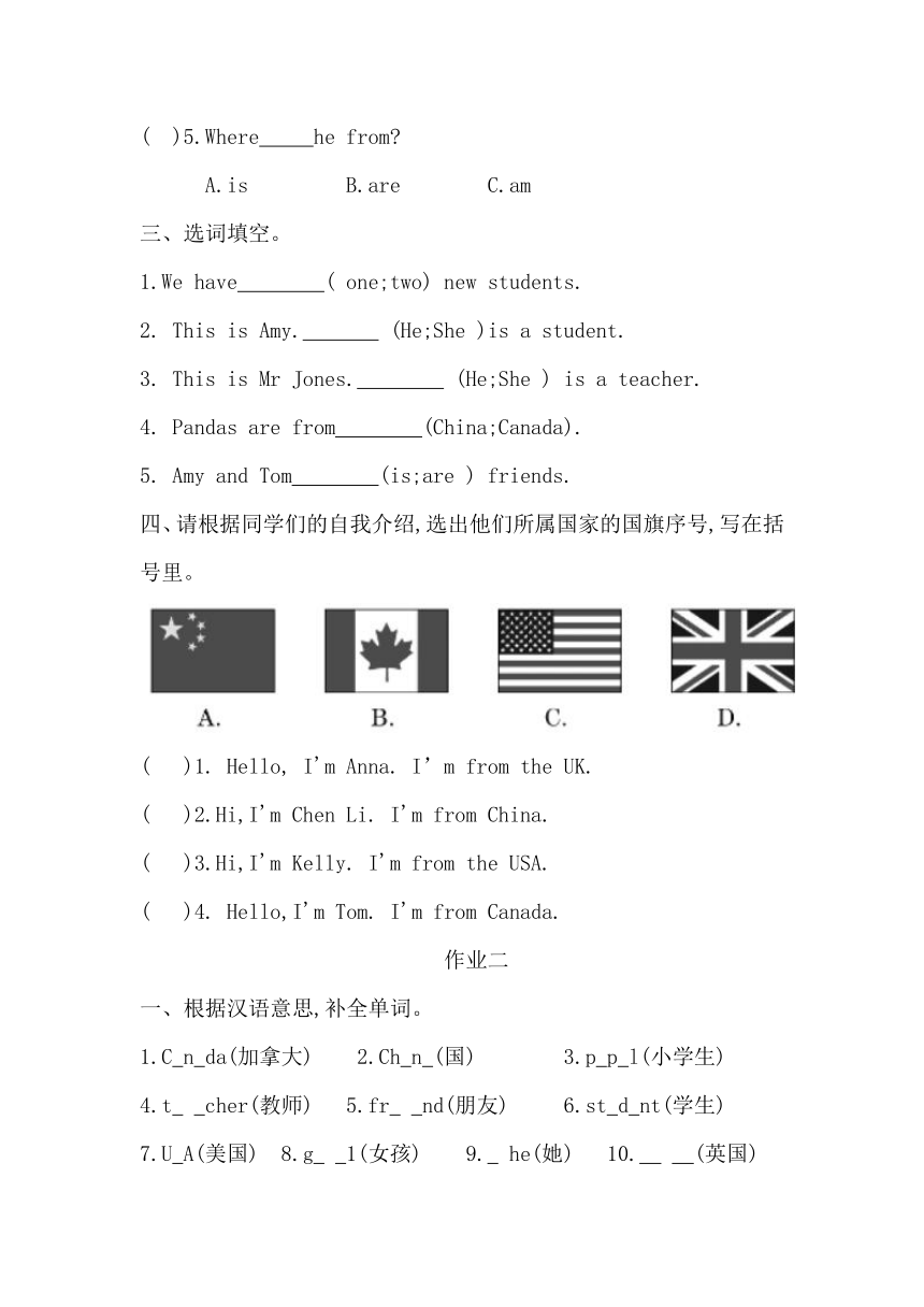 寒假作业（试题）-2023-2024学年人教版(PEP)三年级下册（无答案）