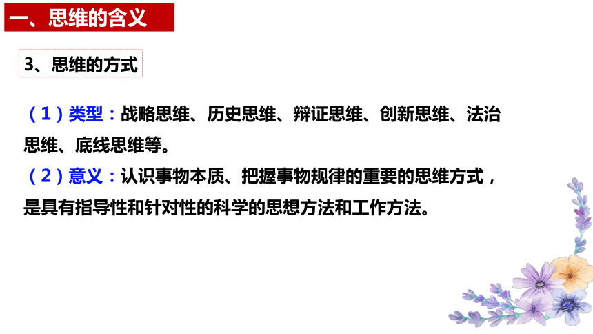 1.1思维的含义与特征 课件（共13张ppt）政治统编版选择性必修三