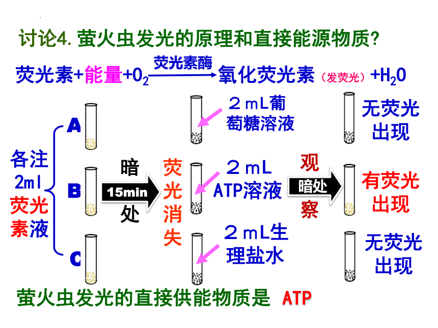 5.2 细胞的能量“货币”ATP (共22张PPT)课件-人教版2019必修1