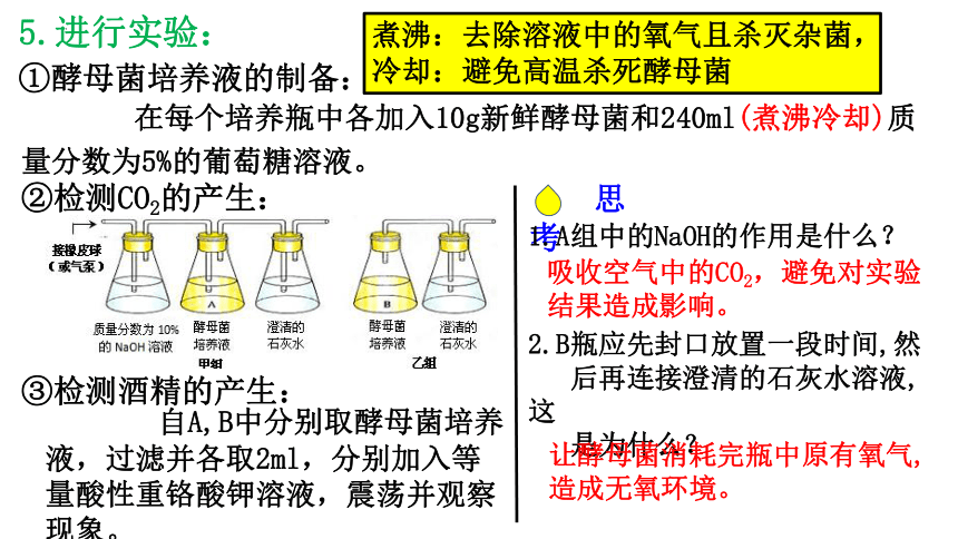 5.3细胞呼吸的原理和应用（共35张ppt）生物人教版（2019）必修1