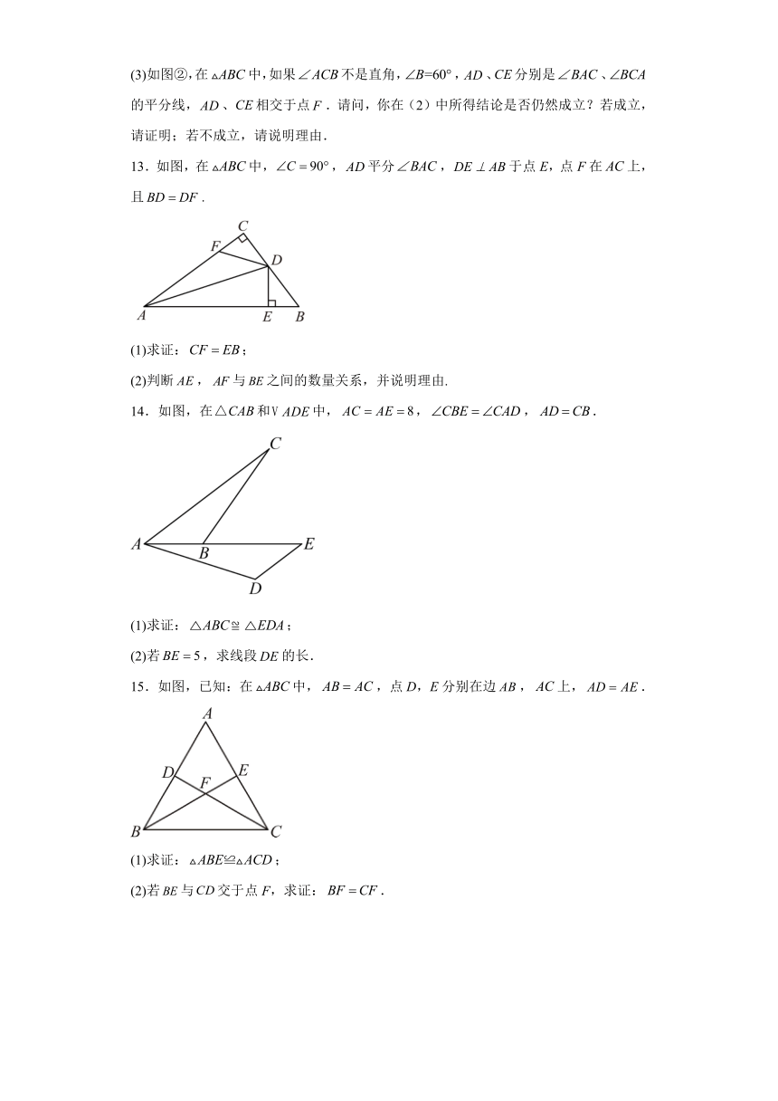 2024年九年级中考数学解答题 复习——全等三角形专项训练(含答案解析)