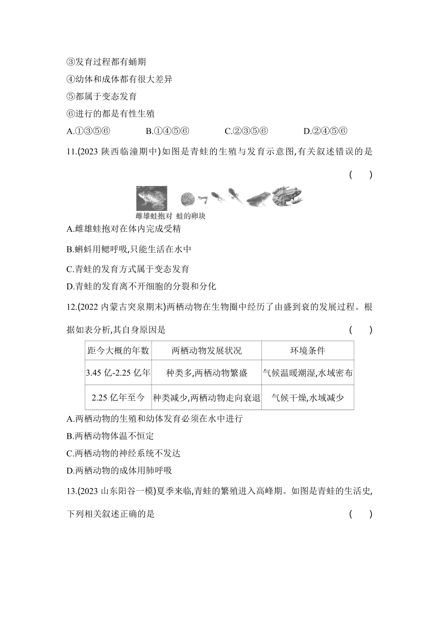 7.1.3两栖动物的生殖和发育同步练习（含解析）人教版八年级下册生物