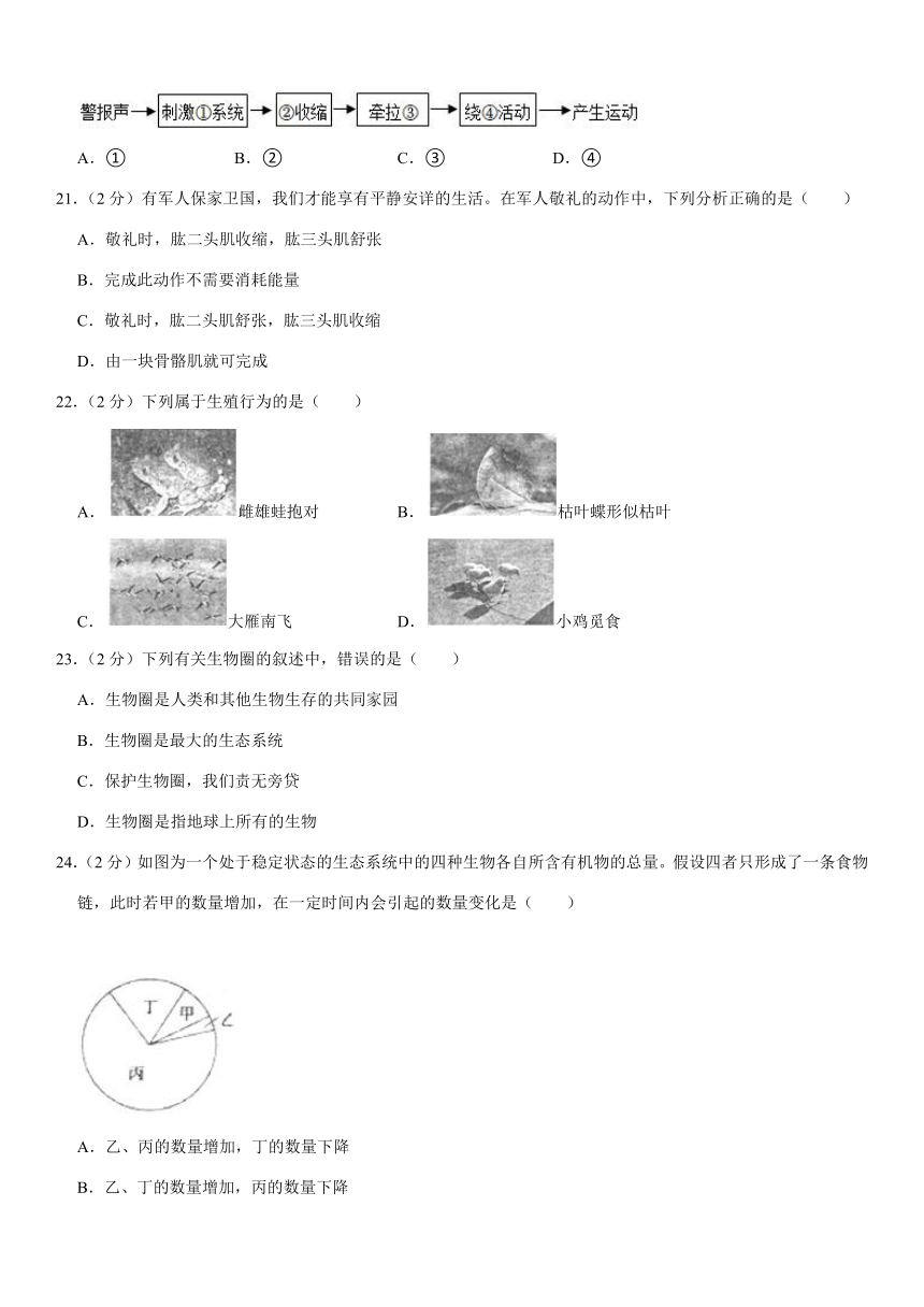 2023-2024学年湖南省永州市蓝山县八年级（上）期末生物试卷（含解析）