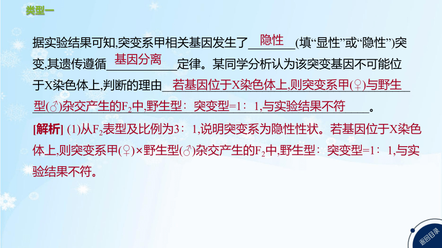 高考生物二轮复习微专题5　遗传、变异与细胞分裂的综合应用(共25张PPT)