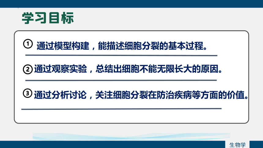 2.3.1 细胞的分裂 课件(共17张PPT+内嵌视频1个)2023-2024学年鲁科版生物六年级上册