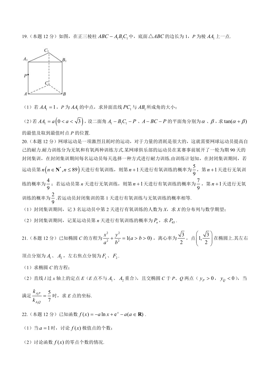 广东省中山市2024届高三上学期1月第一次调研数学试卷（含答案）