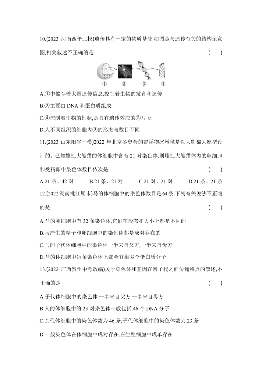 7.2.2基因在亲子代间的传递同步练习（含解析）人教版八年级下册生物