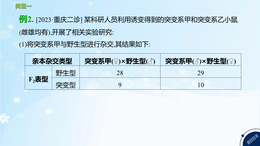 高考生物二轮复习微专题5　遗传、变异与细胞分裂的综合应用(共25张PPT)