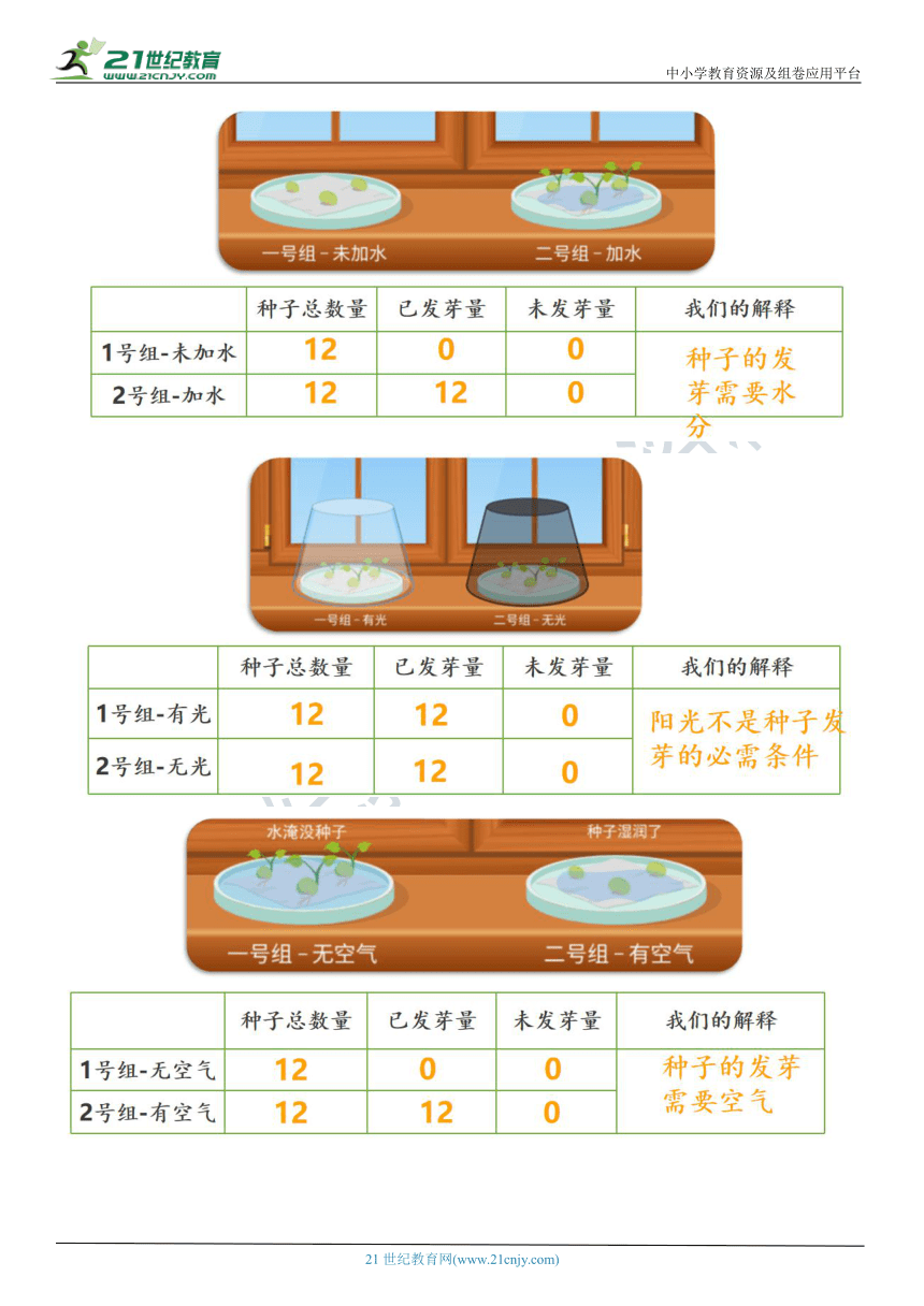 （核心素养目标）1.2 比较种子发芽实验  教案设计