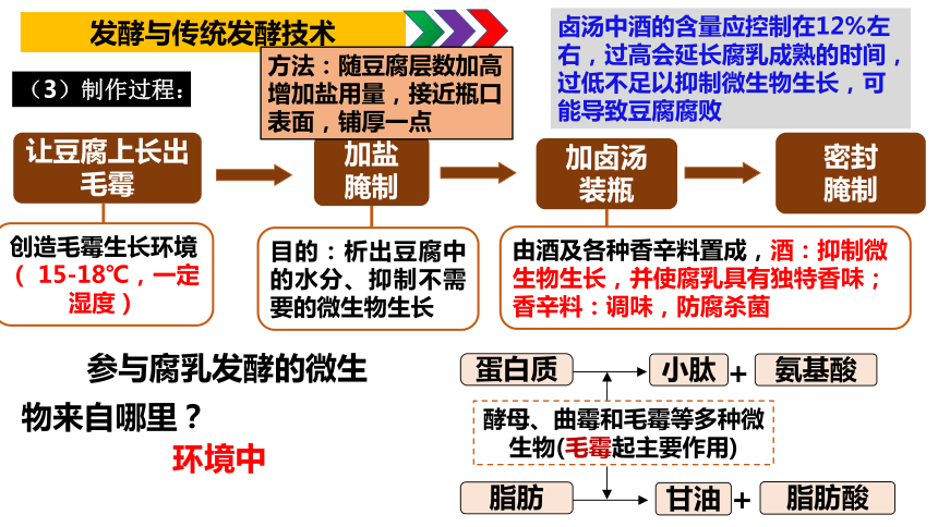 1.1传统发酵技术的应用课件(共48张PPT1份视频) 人教版选择性必修3