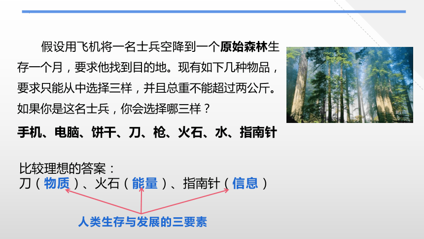 1.3信息及其特征   课件(共13张PPT)  2023-—2024学年高中信息技术粤教版（2019）必修1