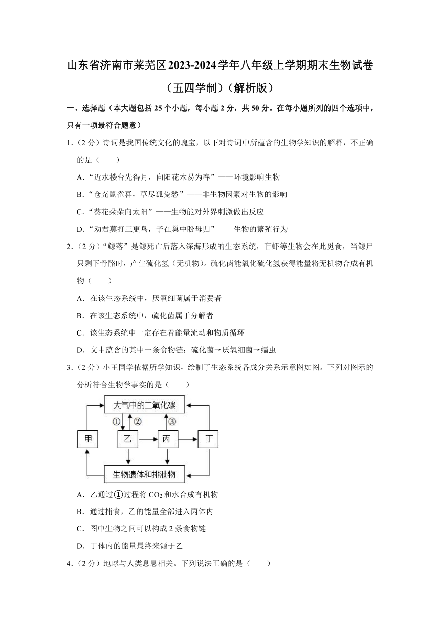 山东省济南市莱芜区2023-2024学年八年级上学期期末生物试卷（五四学制） （含解析）