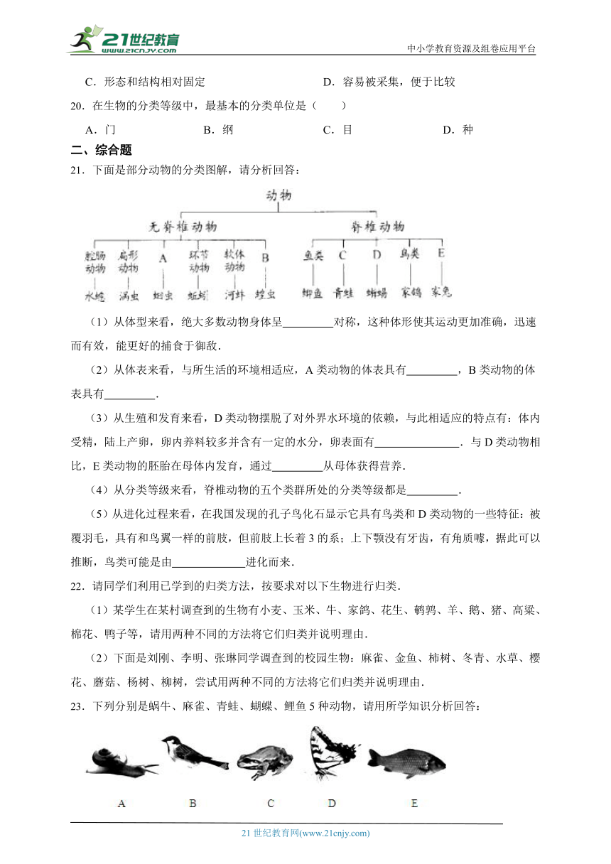 2024年生物中考人教版一轮复习基础知识训练卷22  根据生物的特征进行分类（含解析）