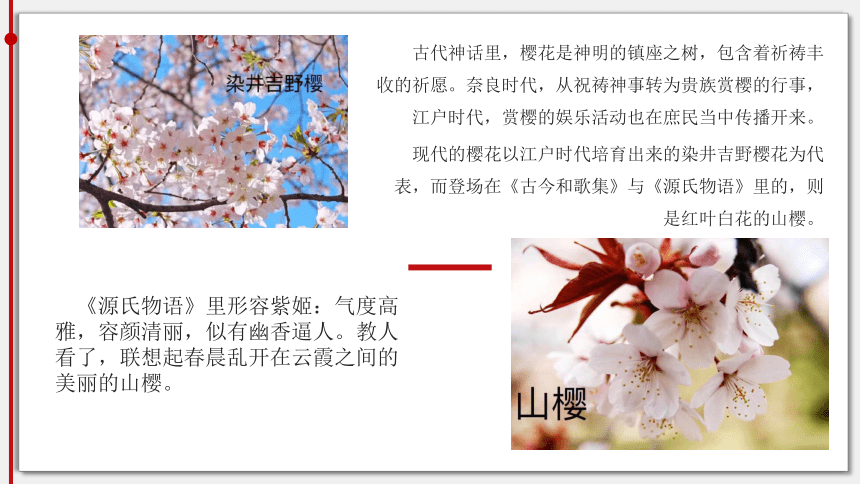 2023-2024学年高中日语兴趣拓展课：赤色系日本伝統色 课件（40张）