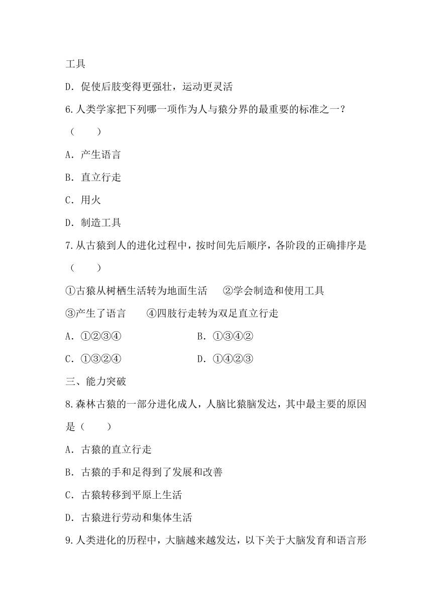 4.1.1人的起源和发展 同步练习（含答案）人教版七年级下册