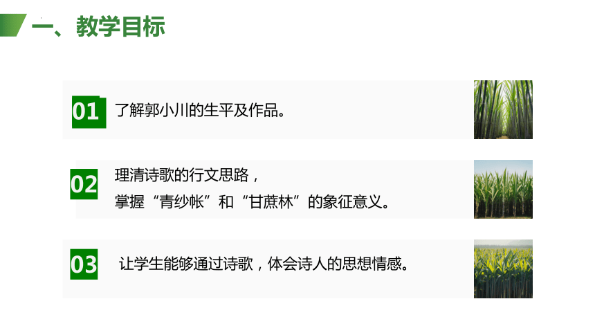 二《青纱帐——甘蔗林》 课件(共18张PPT) 2023—2024学年高教版（2023）中职语文基础模块下册