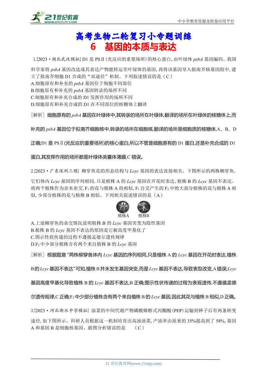 高考生物二轮复习小专题训练：6　基因的本质与表达（解析版）