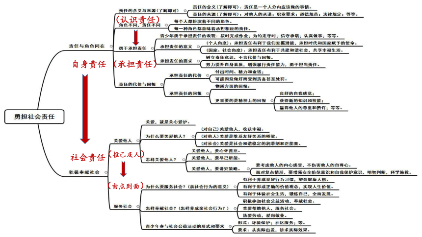 第三单元 勇担社会责任 复习课件(共32张PPT)