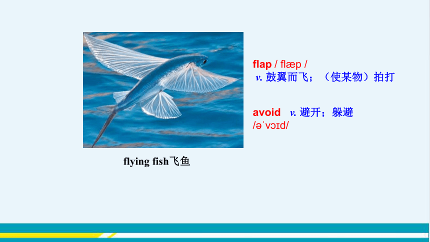 UNIT3 Lesson 14 教学课件--冀教版初中英语八年级下