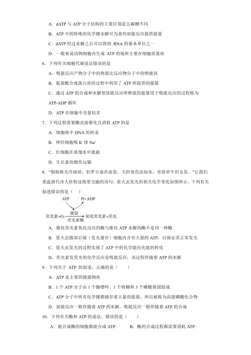 5.2细胞的能量“货币”ATP同步练习（含解析）2023-2024学年高一上学期生物人教版必修1