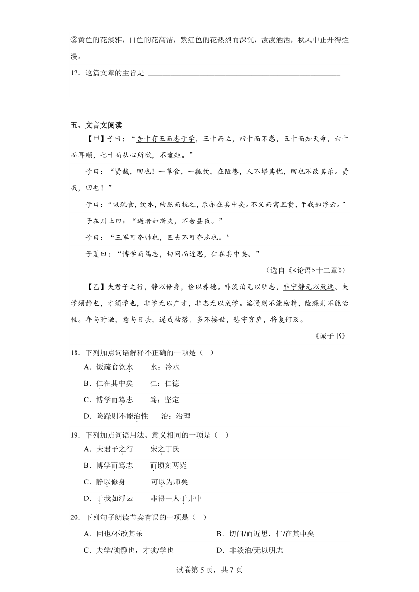 2024年中考语文七年级上册一轮复习试题（七）（含答案）