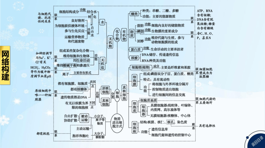 高考生物二轮复习小专题1　细胞的分子组成与结构、物质运输共102张PPT)