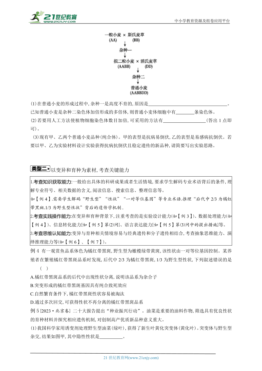 高考生物二轮复习微专题学案：6 变异在农业生产中的应用（含解析）