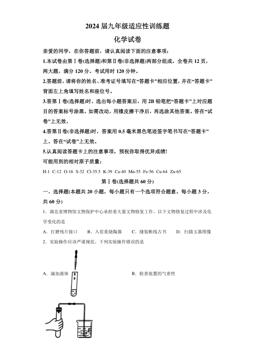 2024年湖北省武汉市元调化学试卷（含解析）