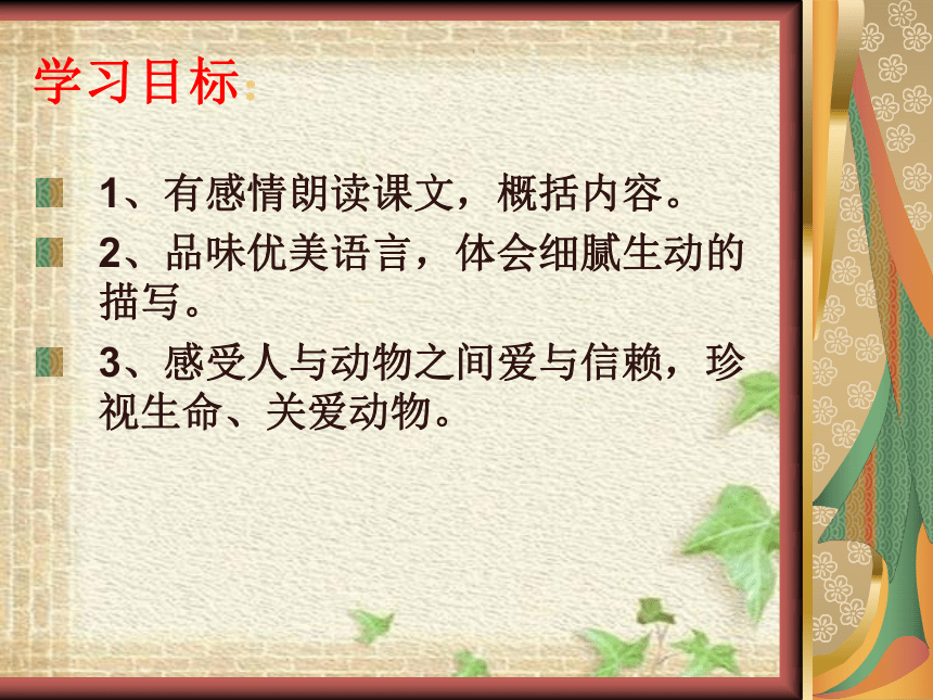 4珍珠鸟课件(共14张PPT)