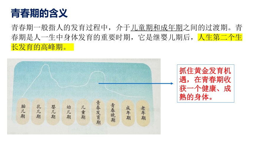 1.1悄悄变化的我  课件（15张幻灯片）