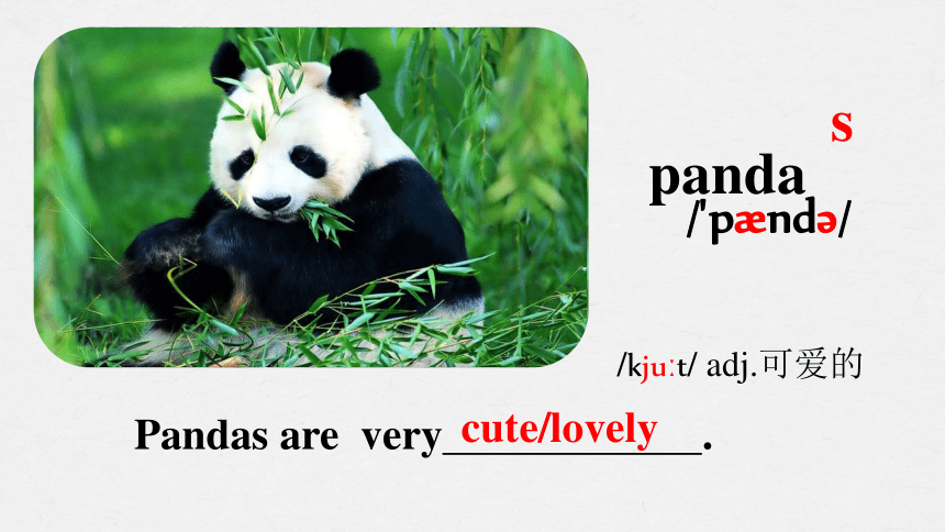 Unit 5 Why do you like pandas? Section A (1a-2c)课件(共28张PPT，内嵌音视频)2023 ...