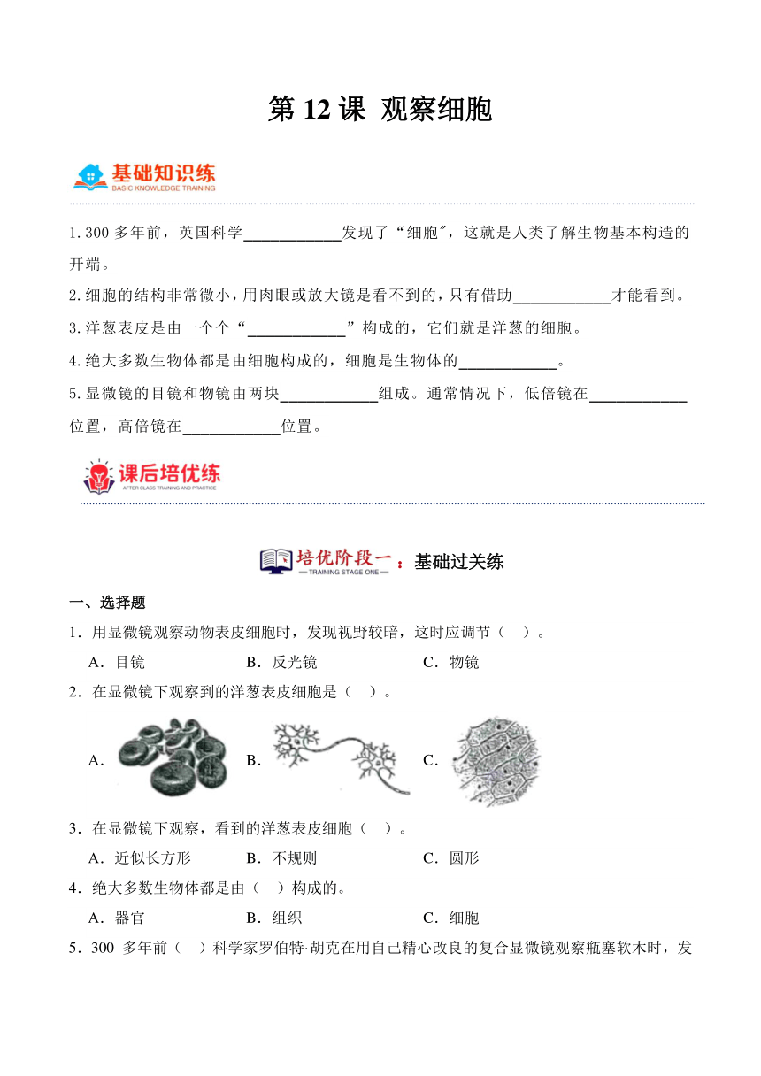 五年级科学下册（冀人版）第12课 观察细胞（同步阶段练习）（含解析）