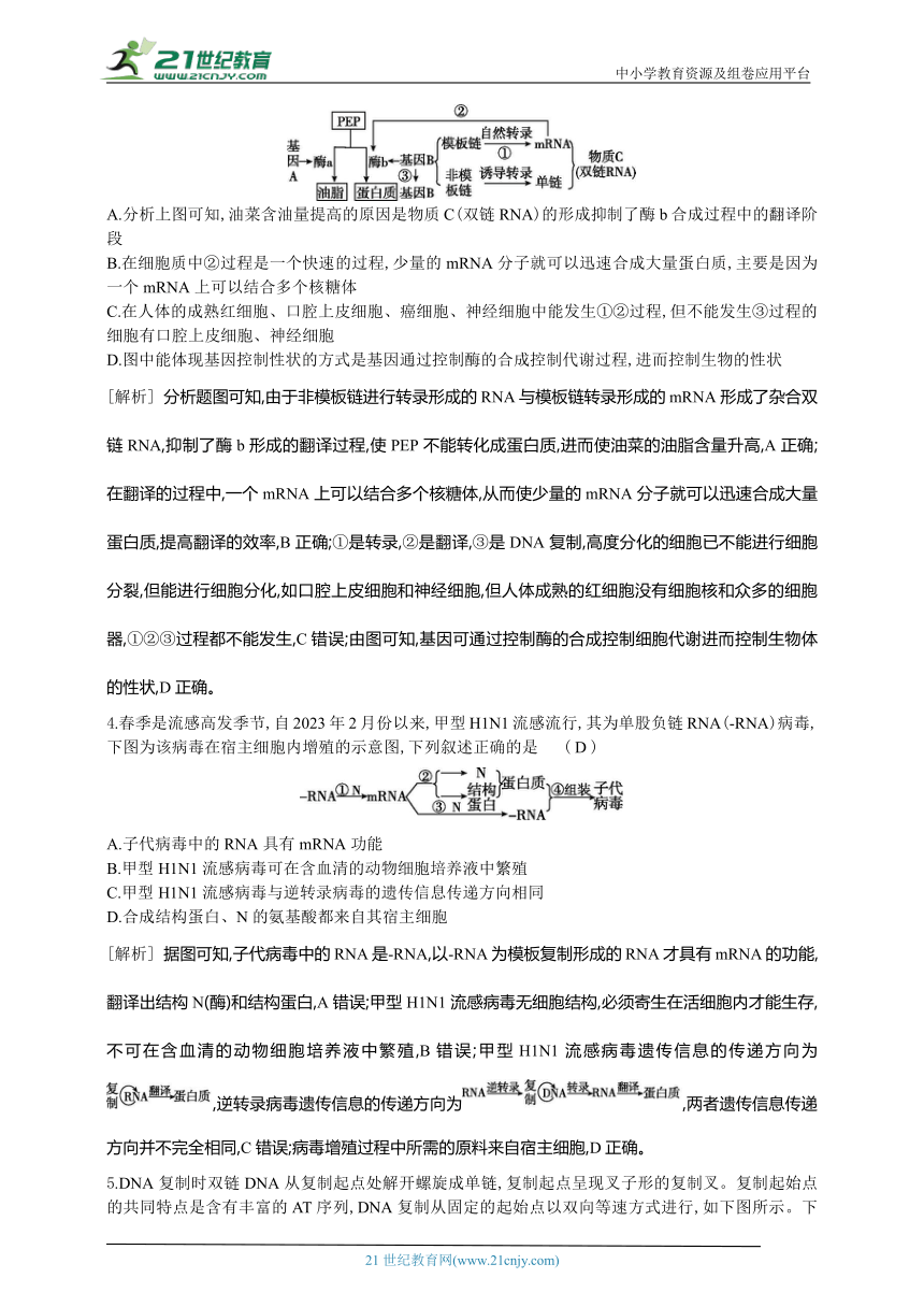 高考生物二轮复习小专题训练：6　基因的本质与表达（解析版）