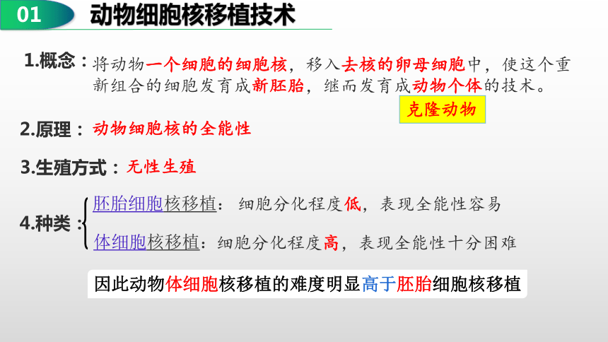 2.2.3动物体细胞核移植技术和克隆动物课件（共30张PPT）-人教版选择性必修3