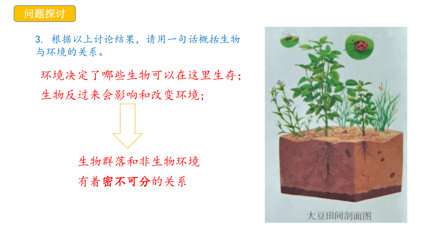 3.1生态系统的结构（共23张PPT）