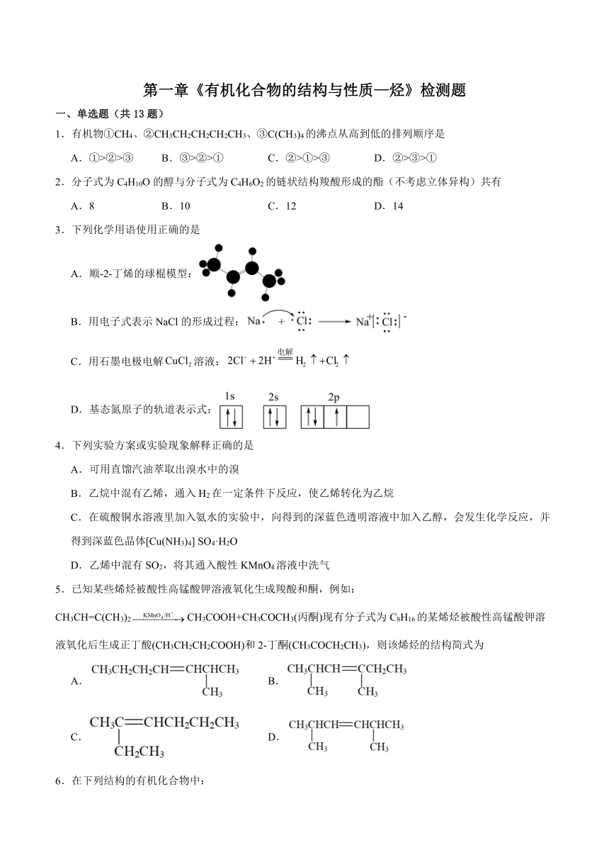 第一章  有机化合物的结构与性质--烃  检测题   （含答案）2023-2024学年高二下学期化学鲁科版（2019）选择性必修3