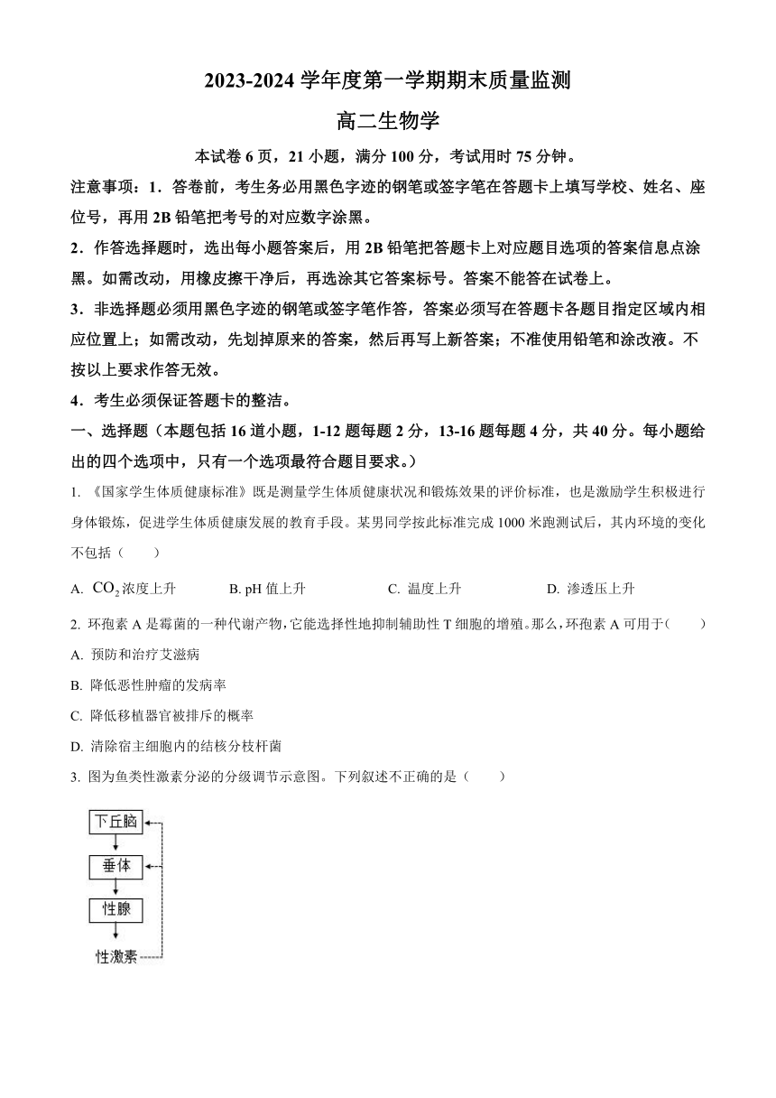 广东省汕头市澄海区2023-2024学年高二上学期期末考试 生物（解析版）