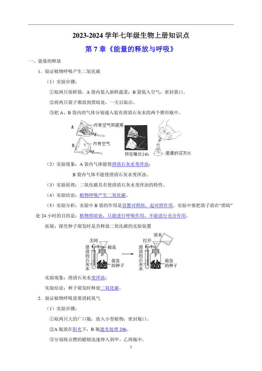 2023-2024学年苏科版七年级生物上册第7章《能量的释放与呼吸》知识点（文字素材）