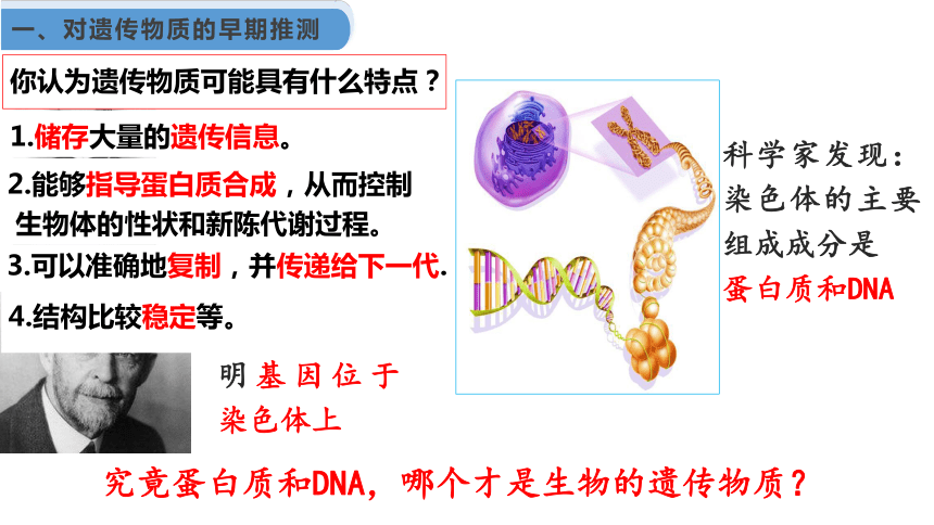 3.1DNA是主要的遗传物质（ 共38张PPT1份视频）-高中生物人教版（2019）必修二