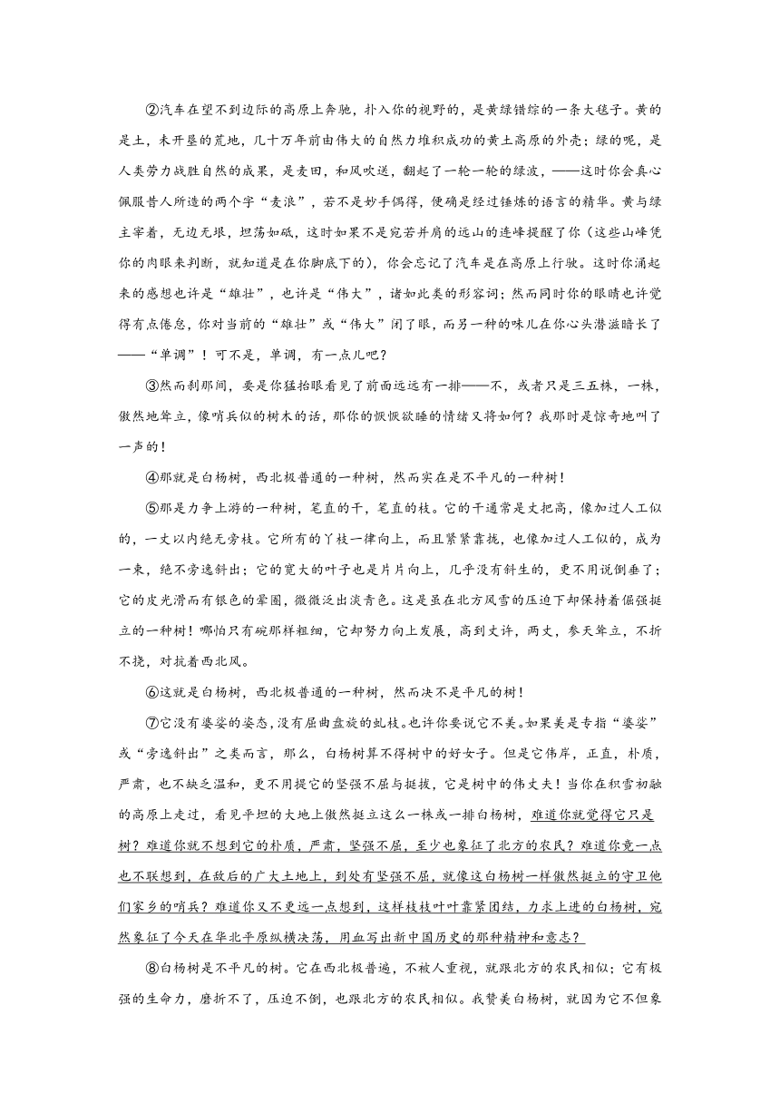 2024年中考语文八年级上册一轮复习试题（十二）（含答案）