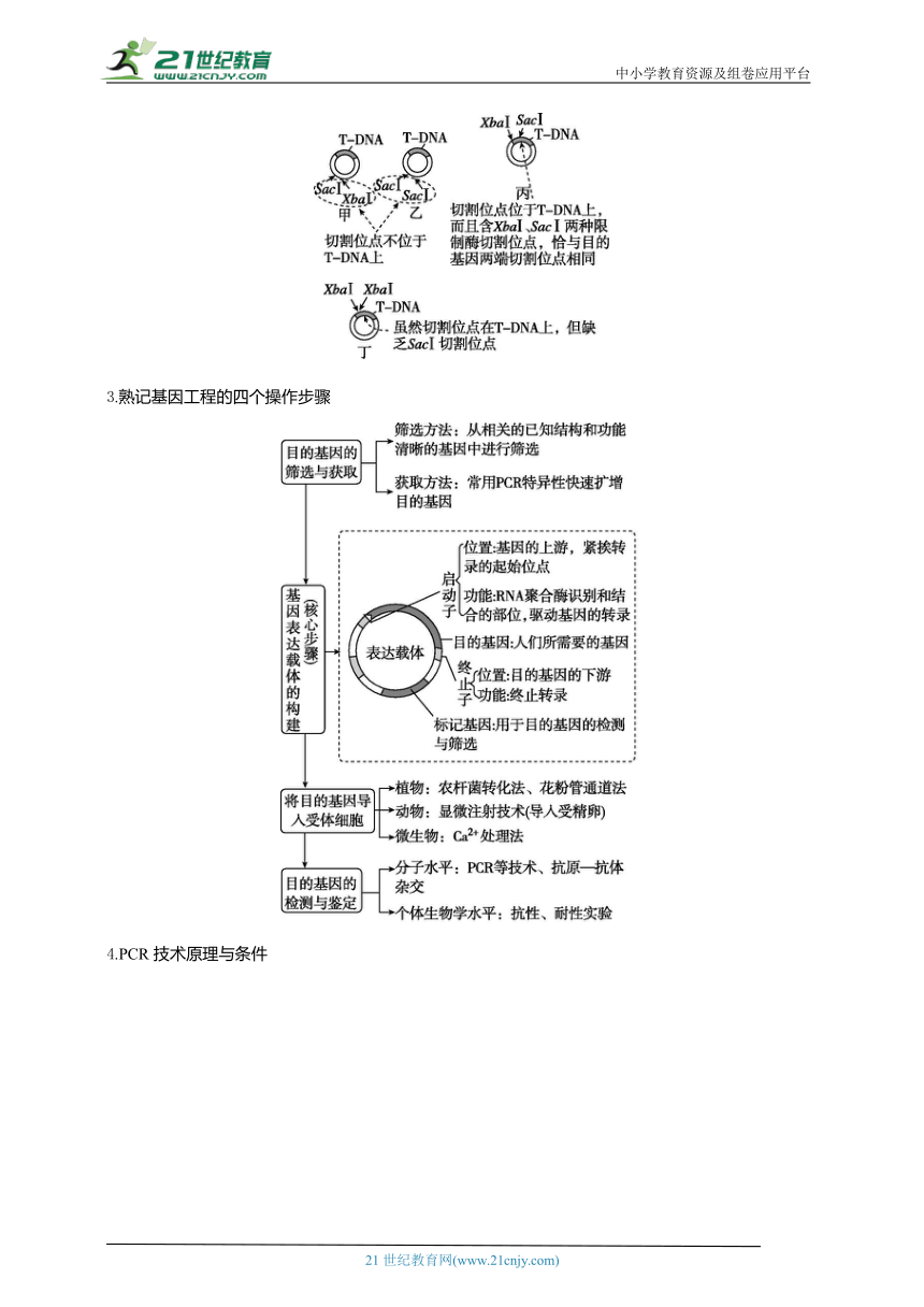 高考生物二轮复习专题学案：14 基因工程（含解析）