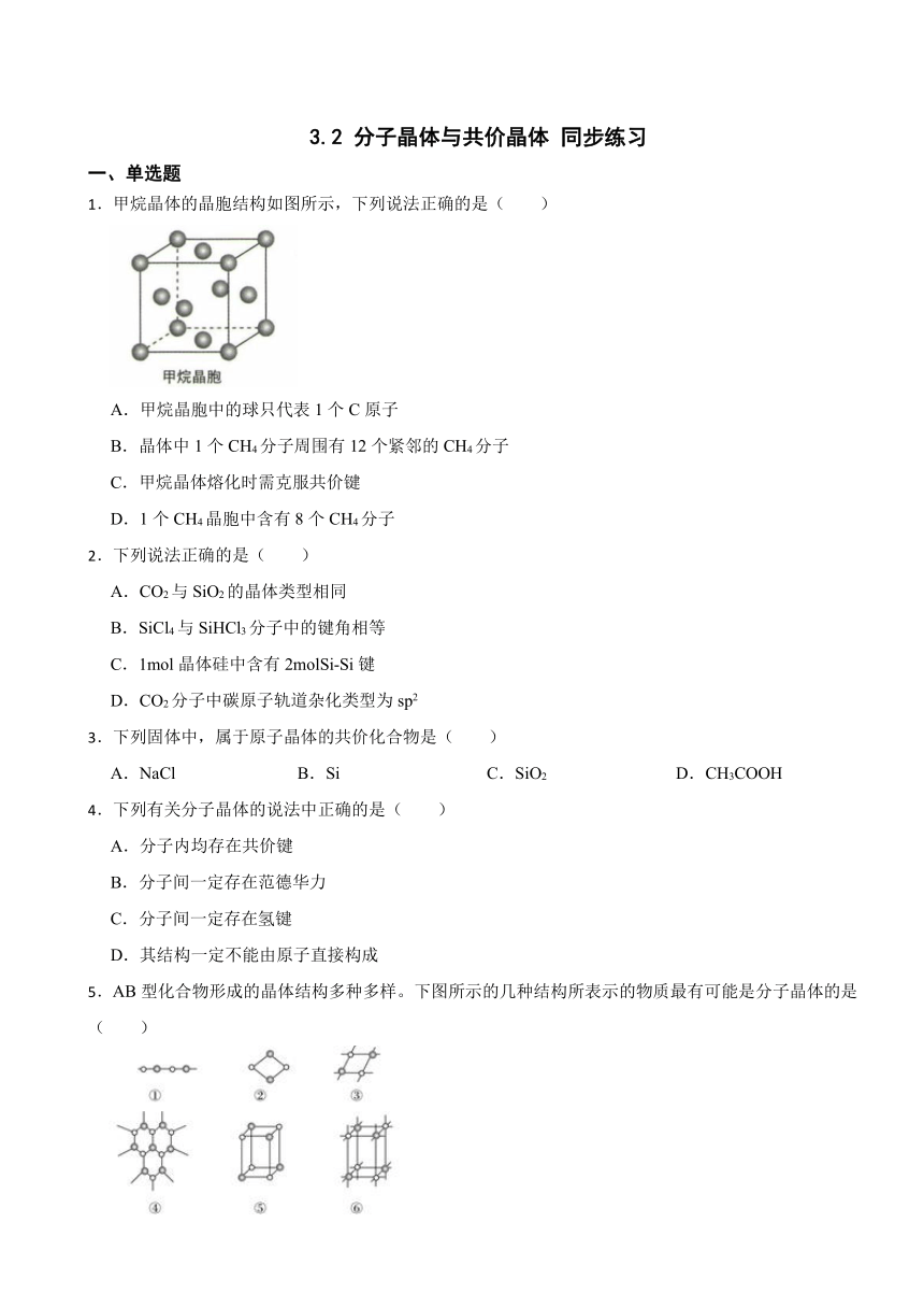 3.2 分子晶体与共价晶体 同步练习  （含解析）2023-2024学年下学期高二化学人教版（2019）选择性必修2