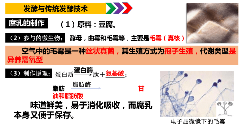 1.1传统发酵技术的应用课件(共48张PPT1份视频) 人教版选择性必修3