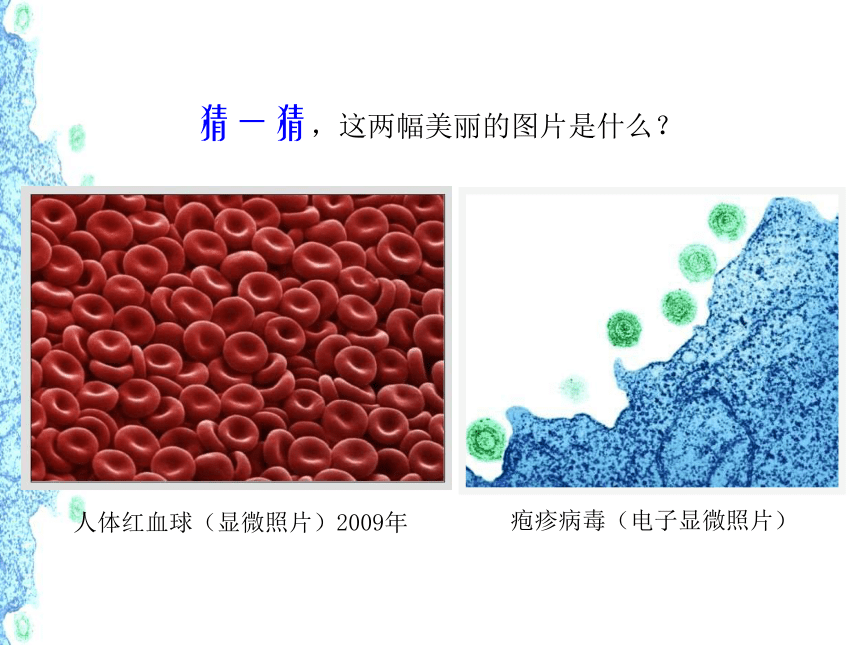 人美版 美术五年级下册 第18课给科学插上艺术的翅膀  课件(共34张PPT内嵌音频)