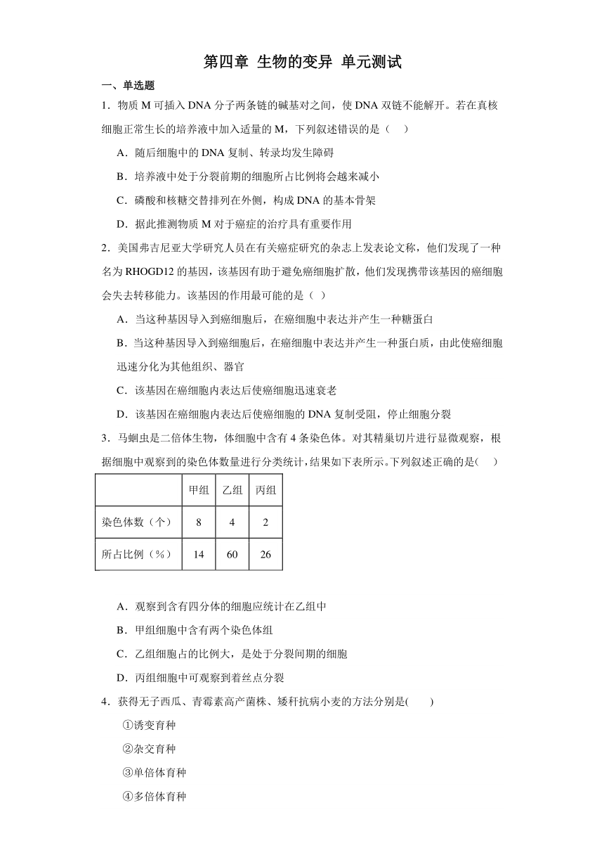 第四章 生物的变异 单元测试-2023-2024学年高中生物学浙科版（2019）必修第二册（解析版）