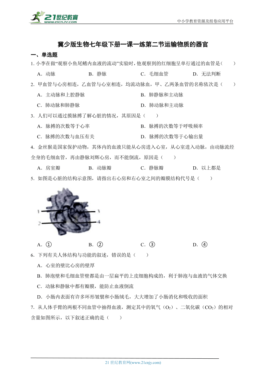 冀少版生物七年级下册一课一练2.2.2运输物质的器官（含解析）