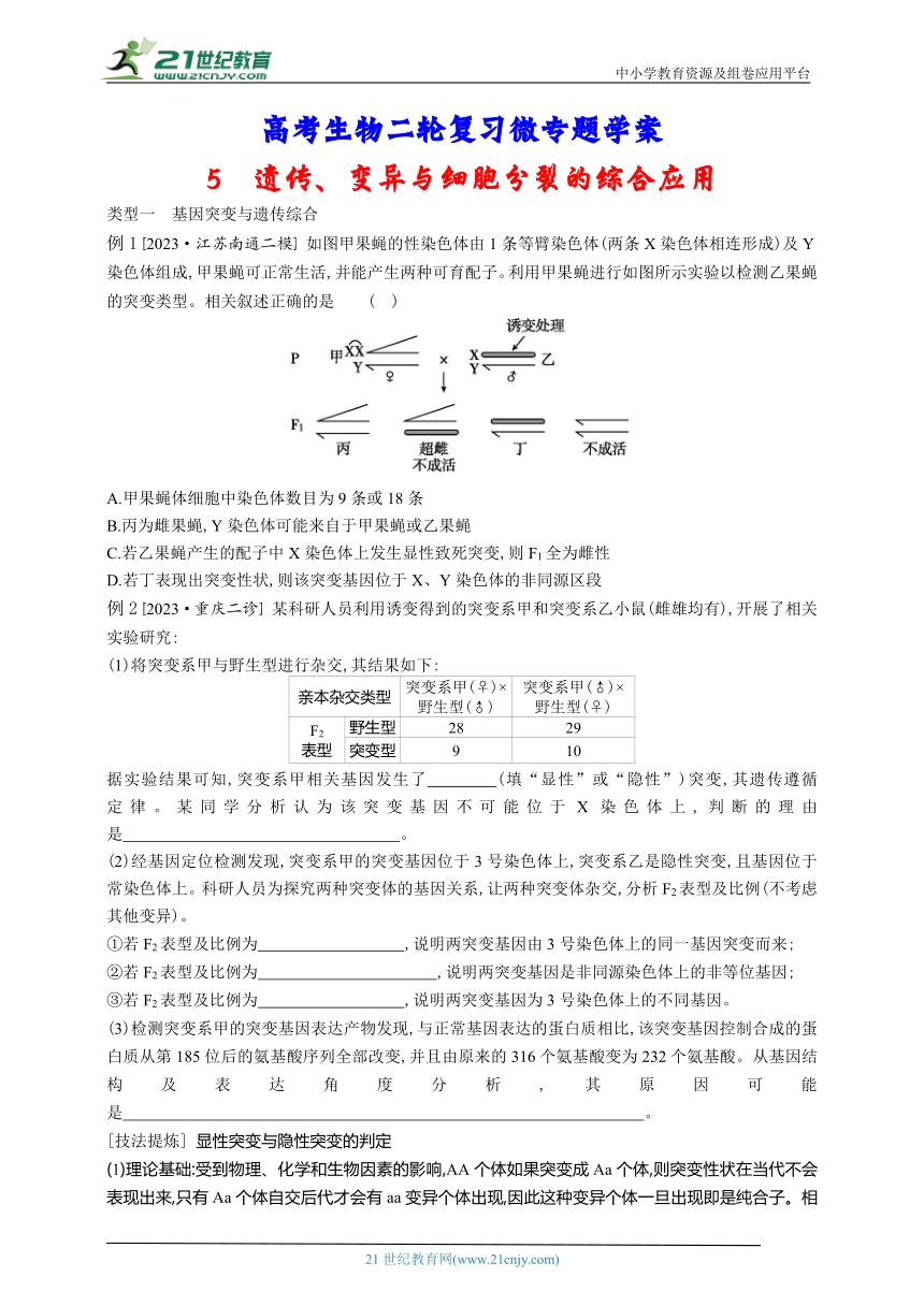 高考生物二轮复习微专题学案：5 遗传（含解析）